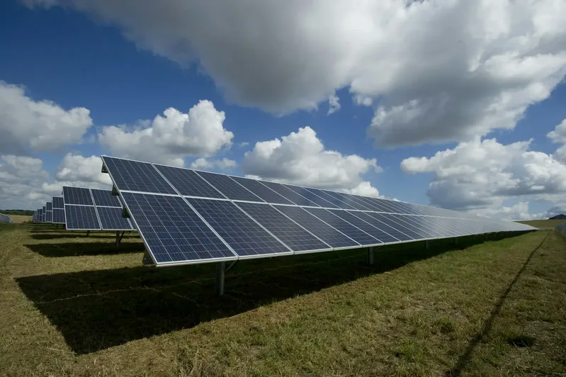 250 kWp Ground-Mount Solar Plant for an Agro-Processor