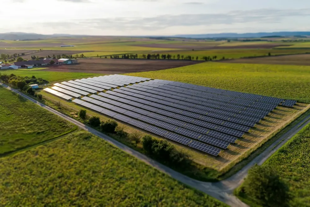 250 kWp Ground-Mount Solar Plant for an Agro-Processor